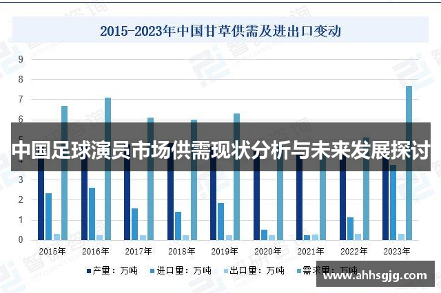 中国足球演员市场供需现状分析与未来发展探讨